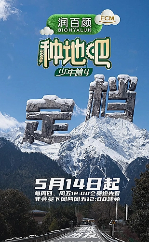 黄果蔬菜轻沙拉食用搭配灵感